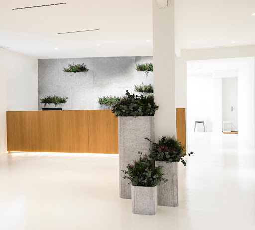 GREENAREA - Visual