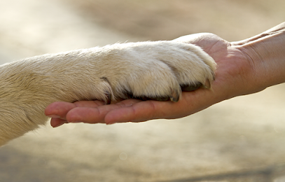 Ветеринарна клиника София