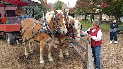 Photos of Edwards Apple Orchard