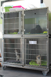 Photo n°16 de Clinique Vétérinaire Vétaunis à Ferrières (Clinique vétérinaire)