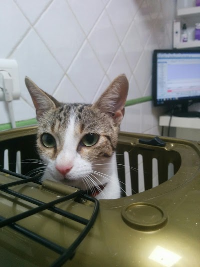 veterinary-care