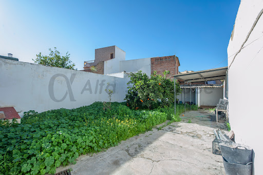 Inmobiliaria Alfa San José