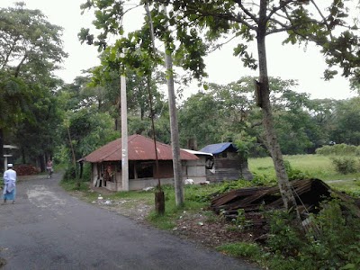 Photos of Salim Tea Shop