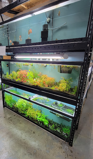 Aquarium Central - Thumbnail