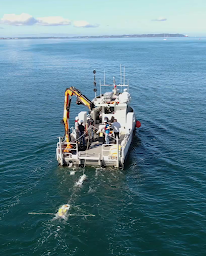 Photo n°1 de MAPPEM Geophysics à Saint-Renan (Expert.e maritime)