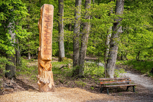 FriedWald Herborn - Visual