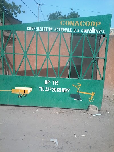Photos of C-darma Dosso