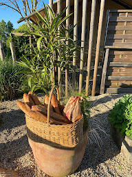 Photo n°26 de Glamping Sainte-Suzanne - Camping en Mayenne à Sainte-Suzanne-et-Chammes (Terrain de camping)
