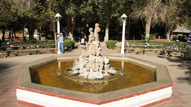 Pisco Elqui