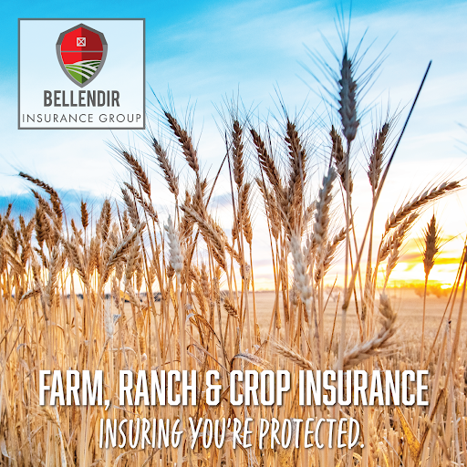 Bellendir Insurance Group Gallery - United States
