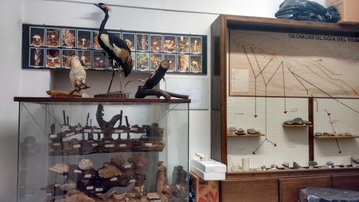 Museo Parco Lame del Sesia - Thumbnail