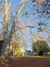 Photo n°24 de Domaine de l'Isle à Civray-de-Touraine (Chambre d'hôtes)