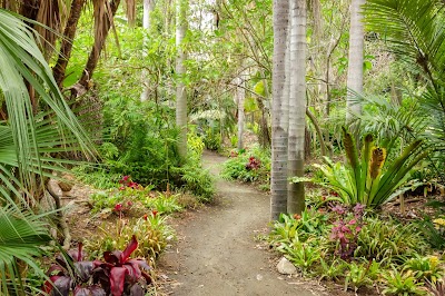 San Diego Botanic Garden