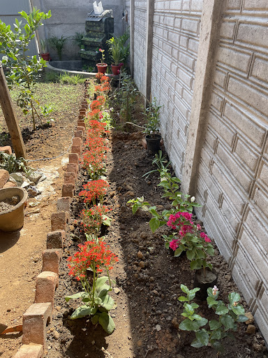 Gallery image 10