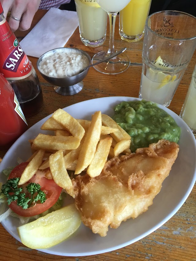 Olley's Fish Experience