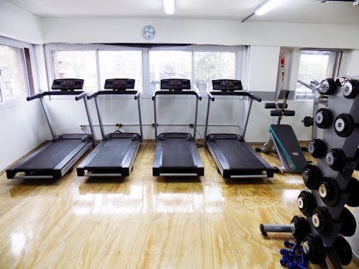 Gym Hakkyo - Sede Darregueyra, Author: Gym Hakkyo - Sede Darregueyra