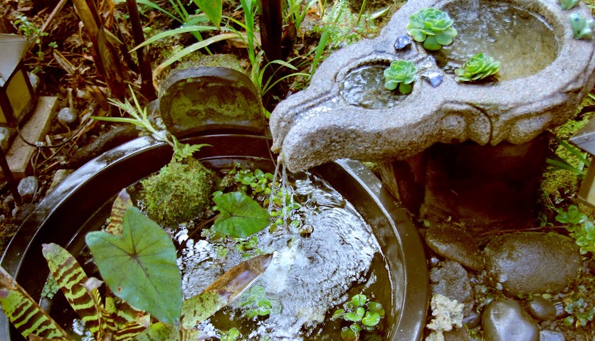 Lotus Garden Cottages by null