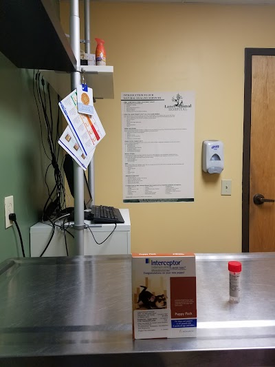 Photos of Lance Animal Hospital