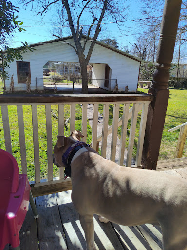 Shiner Animal Hospital - Thumbnail