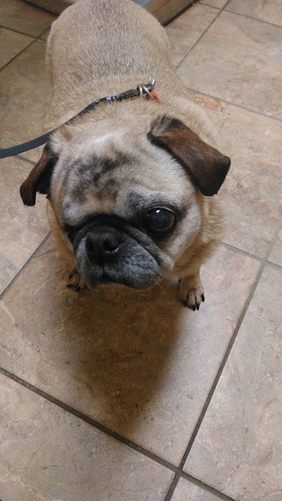 Photos of VCA Wakulla Animal Hospital