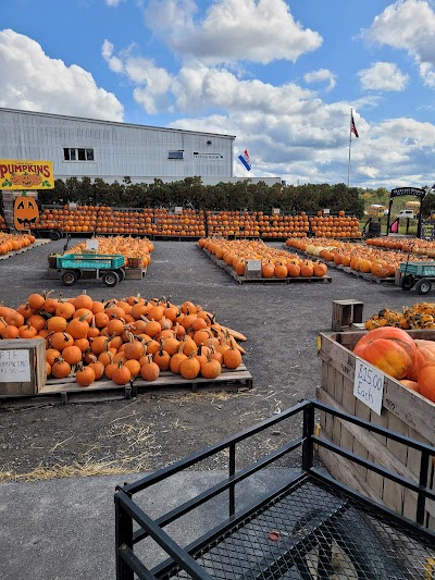 Golden Harvest Farms