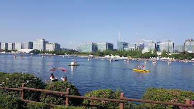 Photos of Ilsan Lake Park Goyang Flower Exhibition