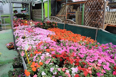 Photos of Jardineria TOT NATURA