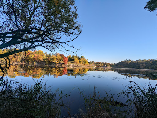 Camp Chimo - Visual