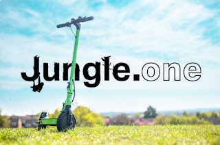 Electric Jungle at Eco Vape Mansfield