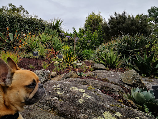Tourisme avec mon chien - Thumbnail