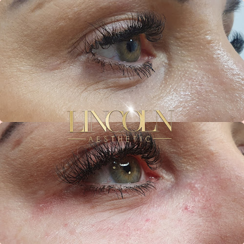 Comments and reviews of Lincoln Aesthetic