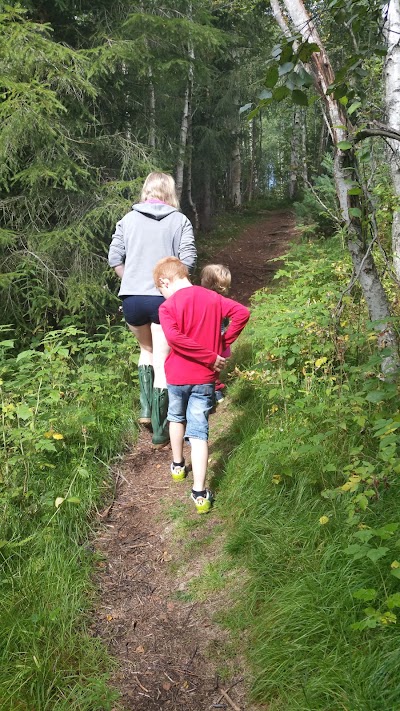 Photos of Lyngstua