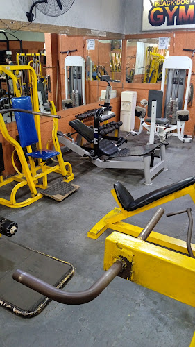 Gimnasio Black Dog - Gimnasio