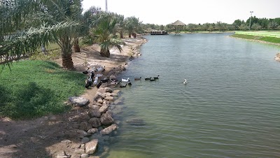 Photos of Kuwait Oasis
