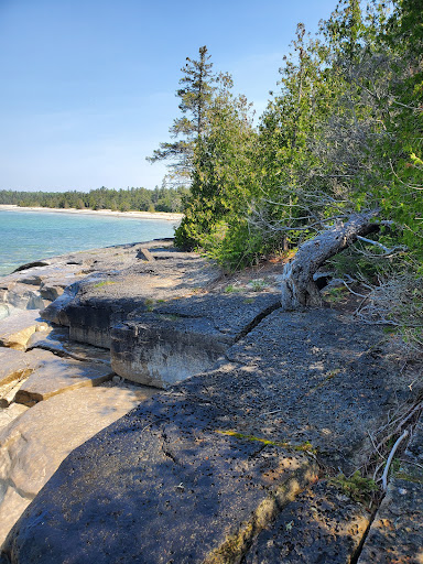 Coastal Alvar Trail - Thumbnail