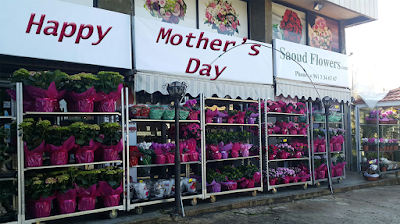 Photos of Saoud Flowers