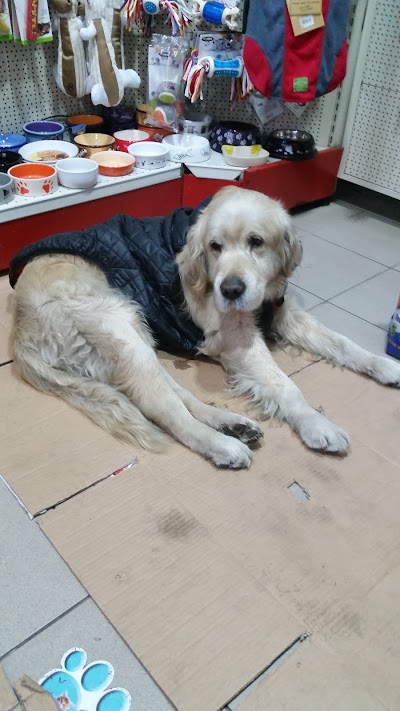 Photos of Atılgan Pet Shop
