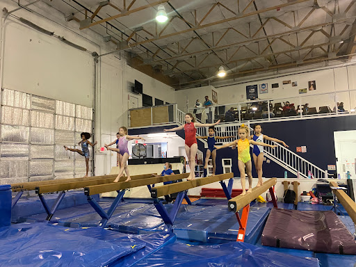 Alpha Gymnastics - Visual