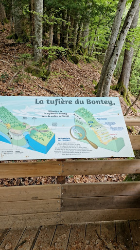 La tuffière de Bontey - France