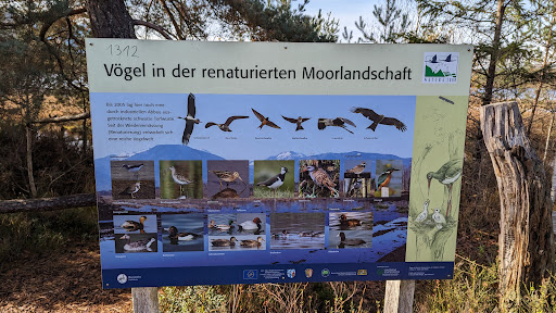 Moorstation - Visual