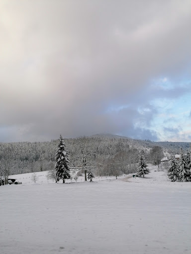 La Charbonnière Gerardmer - Thumbnail