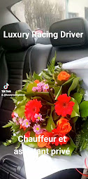 Photo n°2 de Luxury Racing Driver à Paris (Service de transport)