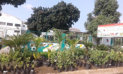 Photos of Jabulani BBJ Matola