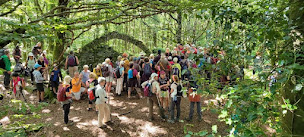 Photo n°50 de Gite d'étape La Maison Forestière à Pradelles-Cabardès (Hébergement de groupe)