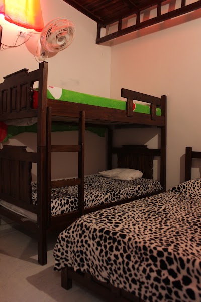 Photos of hotel Viyas