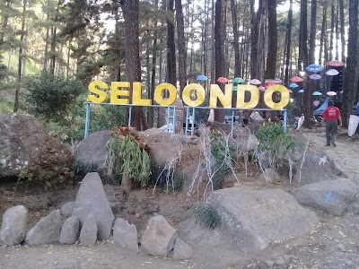 Photos of BUMI PERKEMAHAN SELO ONDO