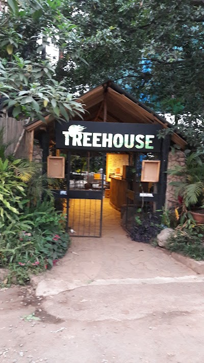 Photos of Treehouse