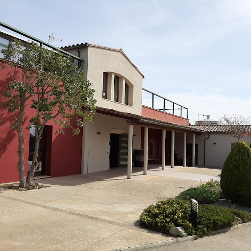Celler Mas Bertran