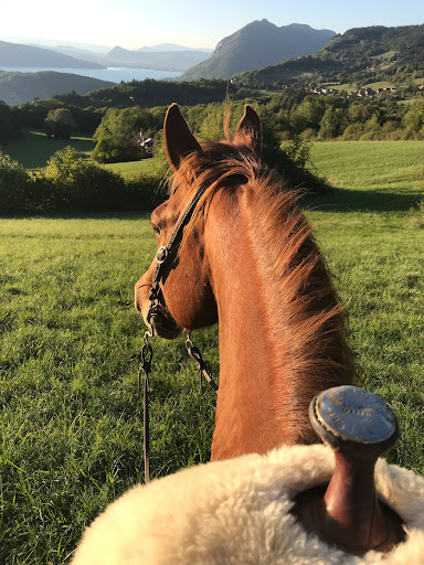 Nature Equestre - Thumbnail