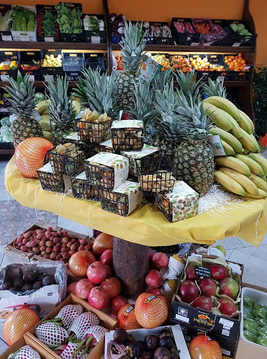 Fruit Fox - Visual
